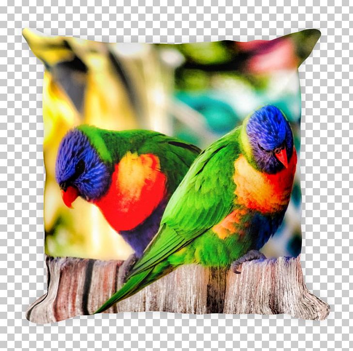 Cushion Throw Pillows Macaw North Haven PNG, Clipart, Australia, Beach, Beak, Bed, Bird Free PNG Download