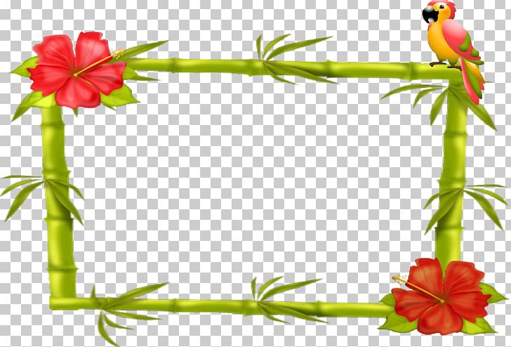 Frames Photography Flower Tableau PNG, Clipart, Branch, Canvas, Car Accident, Cut Flowers, Decorative Arts Free PNG Download