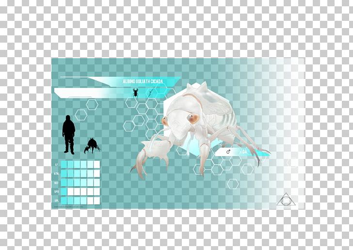 Marine Biology Marine Mammal Desktop Water PNG
