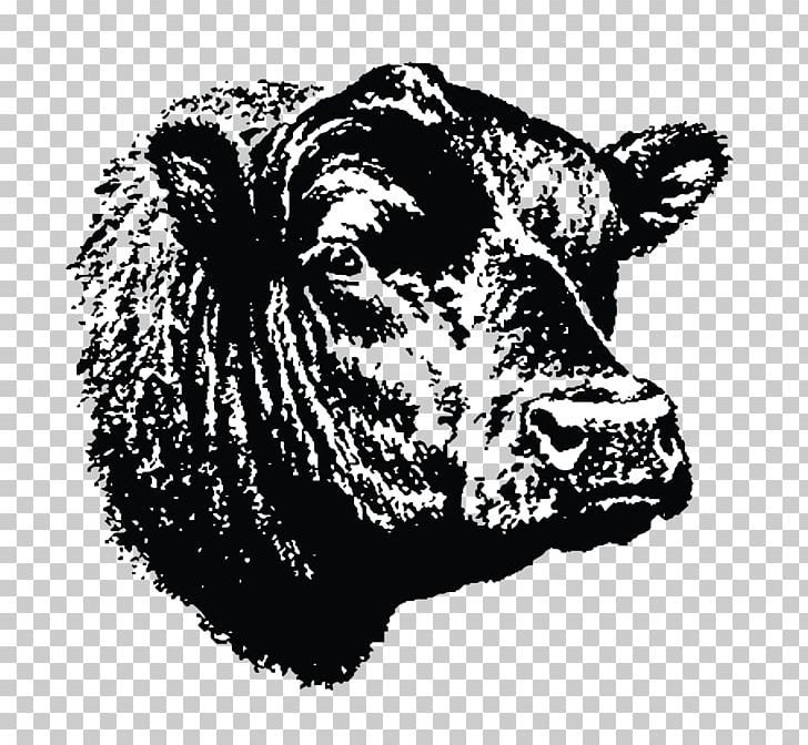 Angus Cattle Beef Cattle Ranch Calf Farm PNG, Clipart, Agriculture, American Angus Association, Angus Cattle, Animals, Beef Free PNG Download