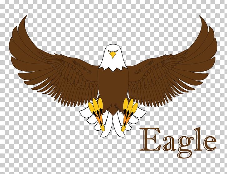 Bald Eagle Statue Of Liberty Logo Beak PNG, Clipart, Accipitriformes, Admiral Group, Bald Eagle, Beak, Bird Free PNG Download