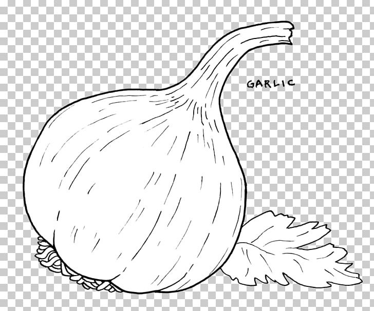 Line Art Garlic Bread Drawing Food PNG, Clipart, Artwork, Bell Pepper, Black And White, Coloring Book, Drawing Free PNG Download