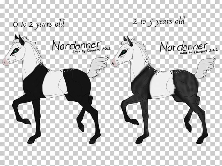 Mustang Pony Foal Stallion Mare PNG, Clipart, American Quarter Horse, Art, Black And White, Bridle, Colt Free PNG Download