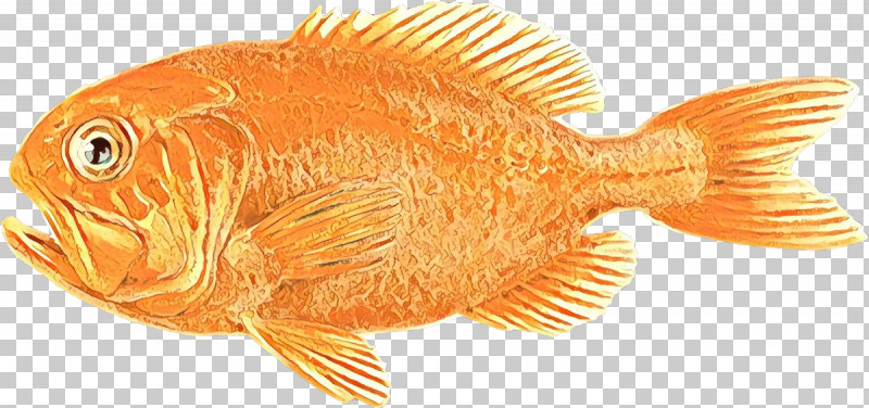 Fish Fish Tilapia Goldfish Tail PNG, Clipart, Bonyfish, Fish, Fish Products, Goldfish, Snapper Free PNG Download