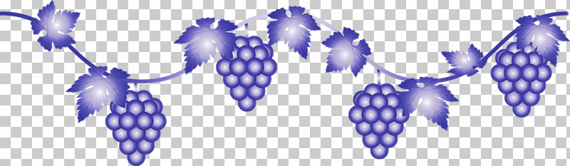 Grape Grapevine Family Purple Plant Fruit PNG, Clipart, Berry, Flower, Fruit, Grape, Grapes Free PNG Download