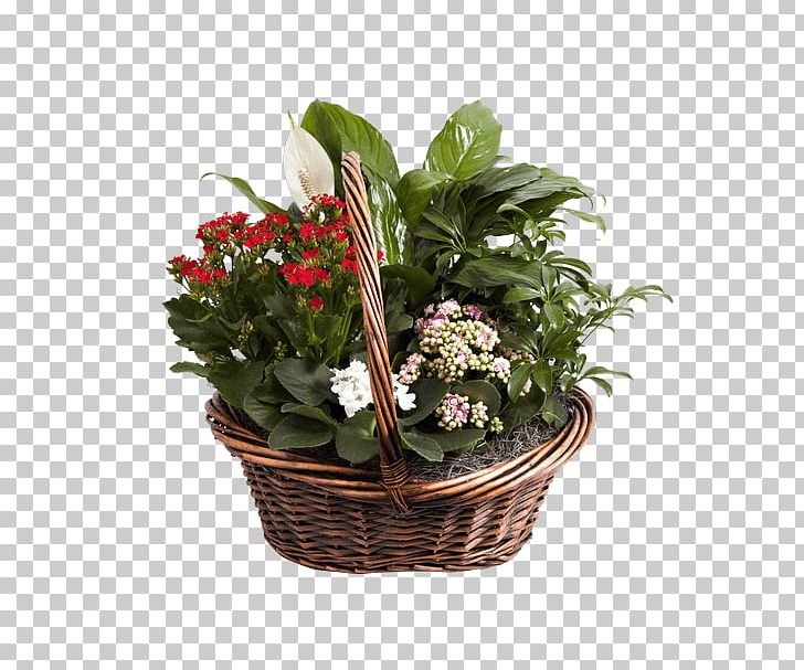 Food Gift Baskets Floral Design Cut Flowers PNG, Clipart, Annual Plant, Basket, Connells Maple Lee Flowers Gifts, Cut Flowers, Europe Free PNG Download