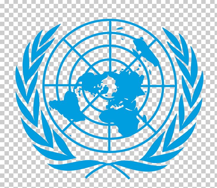 United Nations Office For The Coordination Of Humanitarian Affairs United Nations Conference On Trade And Development Management Organization PNG, Clipart, Business, Innovation, Logo, Management, Organization Free PNG Download
