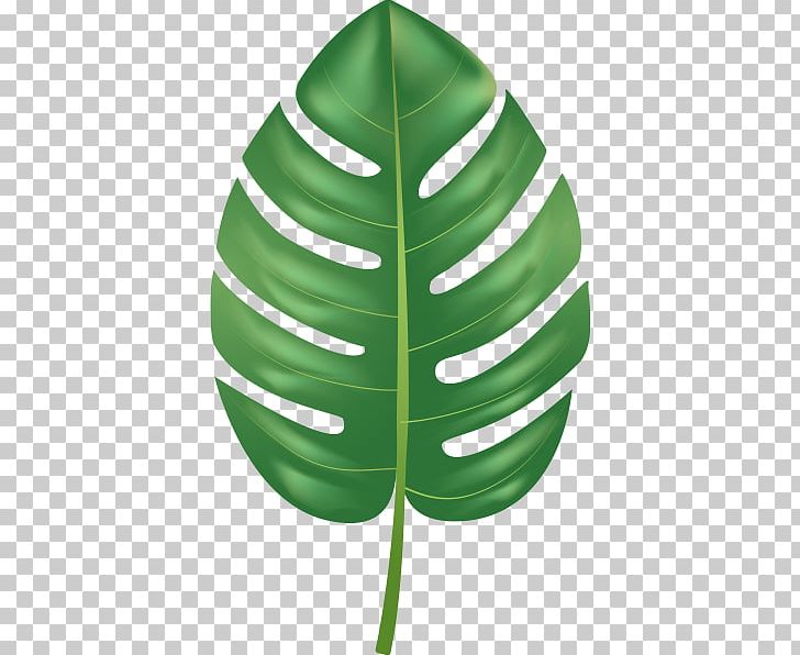 Leaf PNG, Clipart, Art, Botanical Illustration, Creative Market, Graphic Designer, Green Free PNG Download