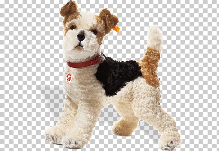 Wire Hair Fox Terrier West Highland White Terrier Smooth Fox Terrier Toy Fox Terrier Welsh Terrier PNG, Clipart, Carnivoran, Companion Dog, Dog Breed, Dog Breed Group, Dog Like Mammal Free PNG Download