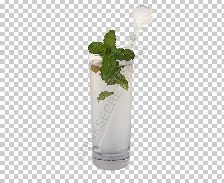 Mojito Mint Julep Cocktail Garnish Non-alcoholic Drink PNG, Clipart, Cocktail, Cocktail Garnish, Collins, Drink, Food Drinks Free PNG Download