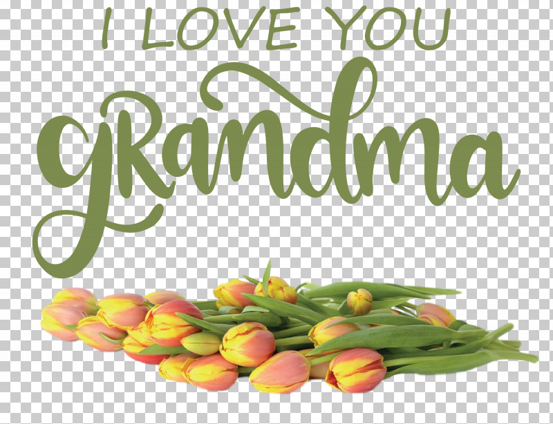 Grandmothers Day Grandma PNG, Clipart, Fruit, Grandma, Grandmothers Day, Local Food, Meter Free PNG Download