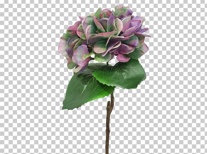 Cut Flowers Floral Design Hydrangea Plant PNG, Clipart, Artificial Flower, Cornales, Cut Flowers, Floral Design, Flower Free PNG Download