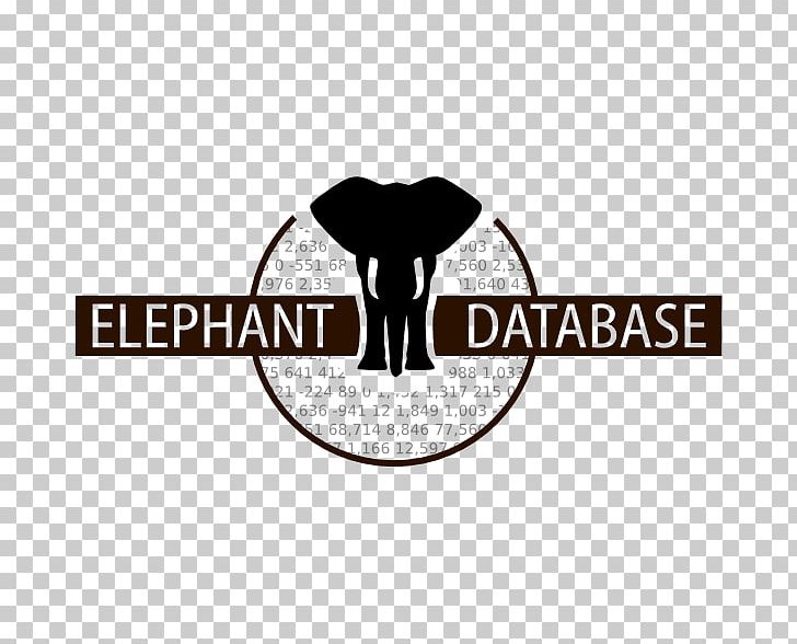 Elephantidae Asian Elephant African Elephant Statistics Information PNG