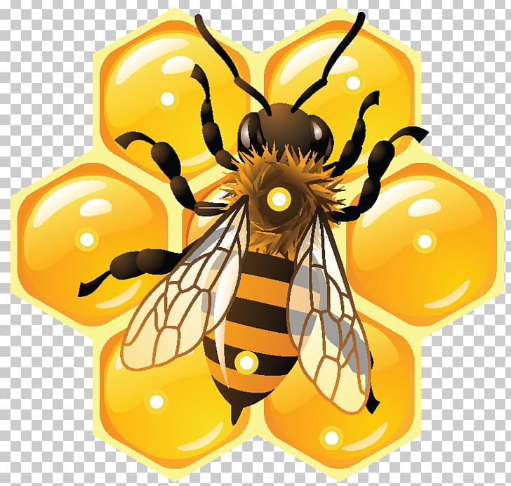 Honey Bee Beehive Social Media PNG, Clipart, Arthropod, Bee, Beehive, Beekeeping, Butterfly Free PNG Download