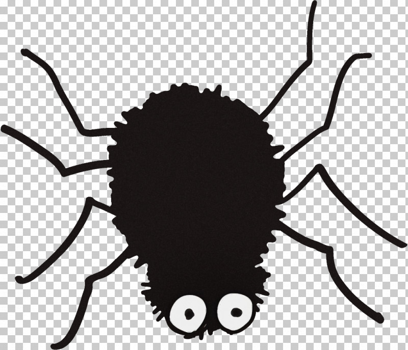 Spider Halloween PNG, Clipart, Halloween, Insect, Pest, Spider Free PNG Download