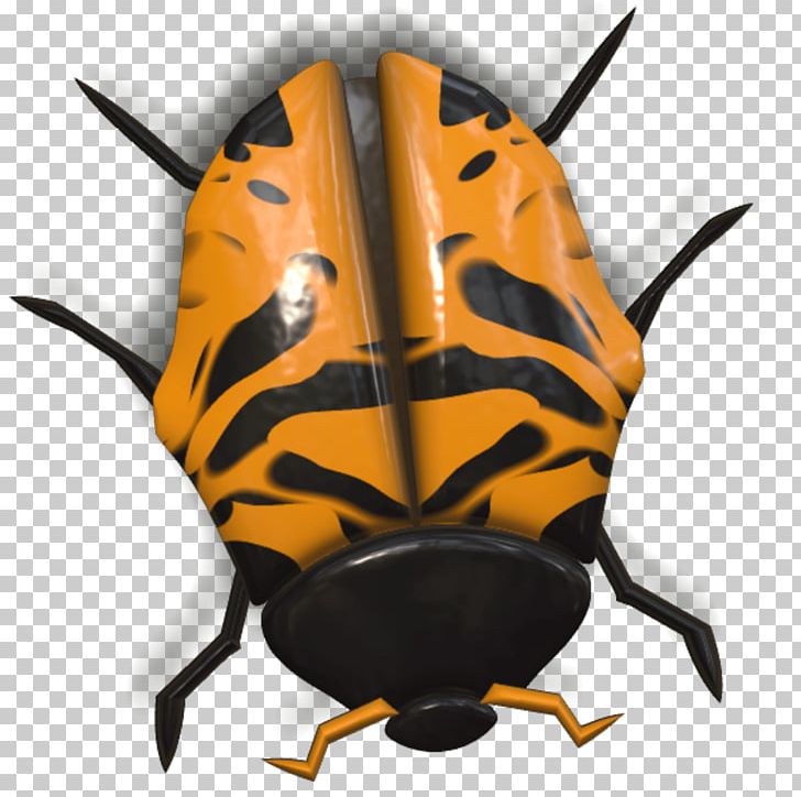 Beetle Photography Coccinella Septempunctata PNG, Clipart, Animal, Animals, Arthropod, Beetle, Coccinella Free PNG Download