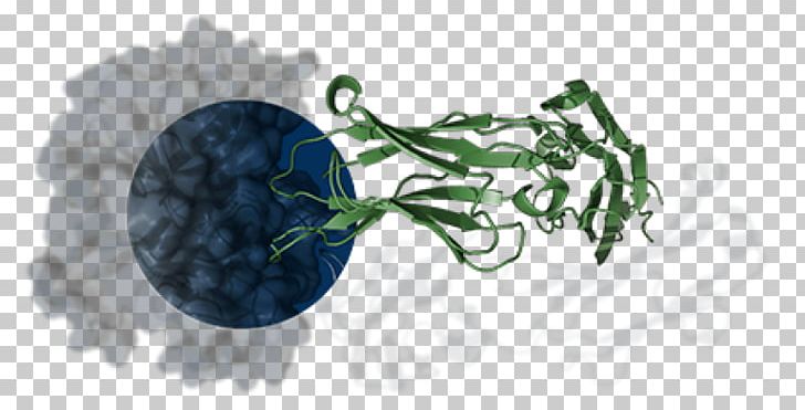 Epitope Paratope Antigen-antibody Interaction PNG, Clipart, Antibody, Antigen, Antigenantibody Interaction, Beryllium, Drug Free PNG Download