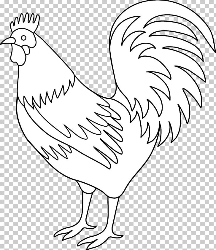 Plymouth Rock Chicken Rooster Black And White PNG, Clipart, Area, Beak, Bird, Black And White, Chicken Free PNG Download