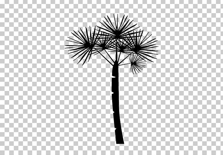 Silhouette Arecaceae PNG, Clipart, Animals, Arecaceae, Arecales, Black And White, Borassus Flabellifer Free PNG Download