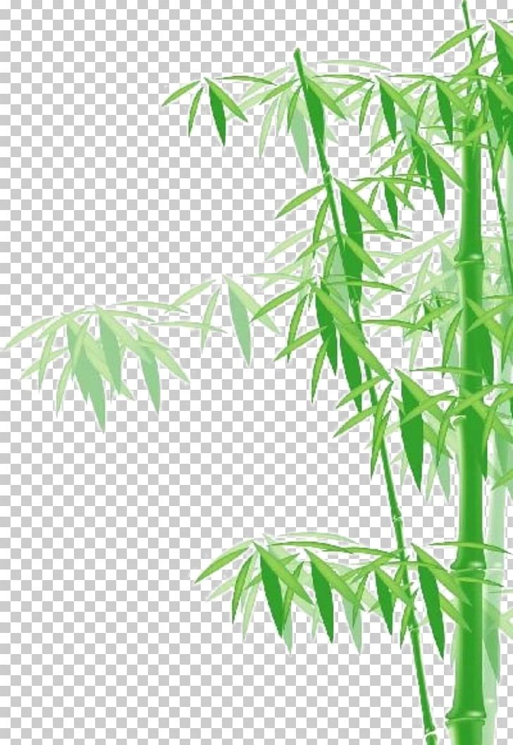 Bamboo PNG, Clipart, Bamboo Border, Bamboo Frame, Bamboo House, Bamboo Leaf, Bamboo Leaves Free PNG Download