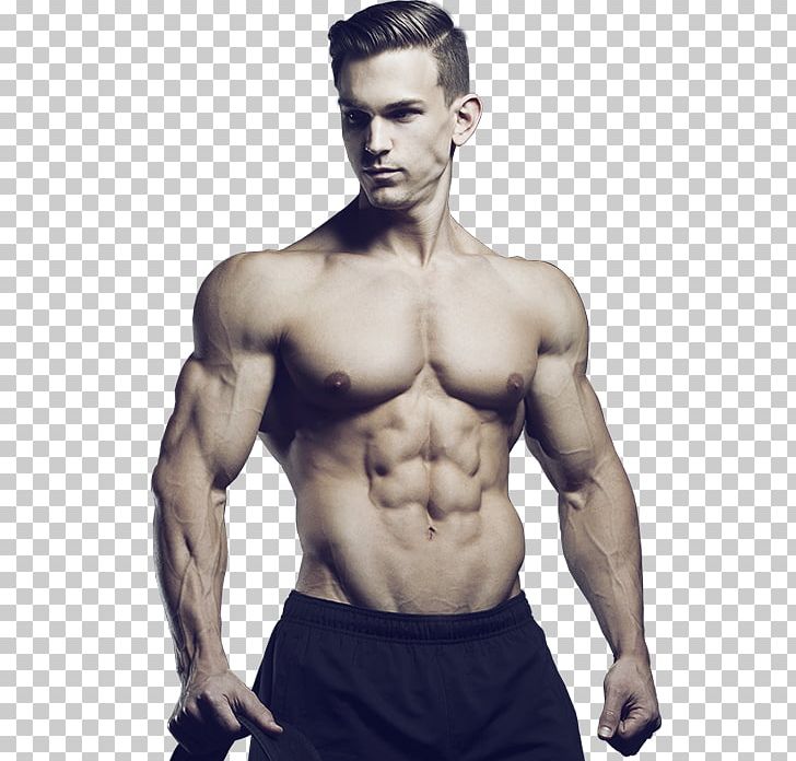 Male Bodybuilder PNG Transparent Images Free Download, Vector Files