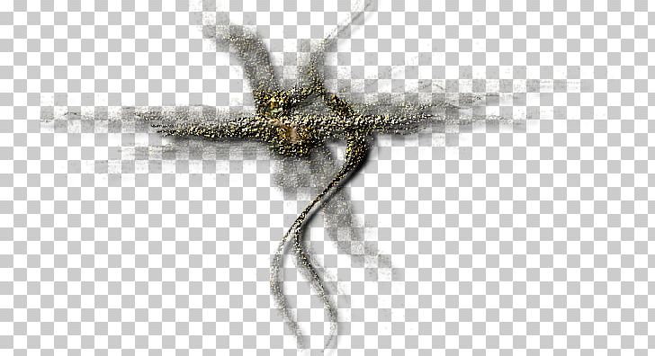 Fractal Insect 23 November Email PNG, Clipart, Email, Fractal, Fractals, Insect, Invertebrate Free PNG Download