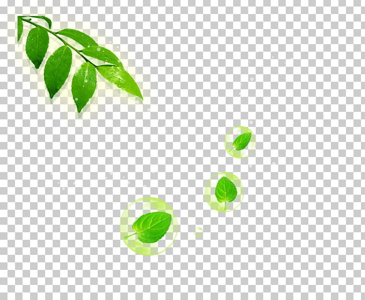 Green Poster PNG, Clipart, Background Green, Blue, Circle, Fall Leaves, Fundal Free PNG Download