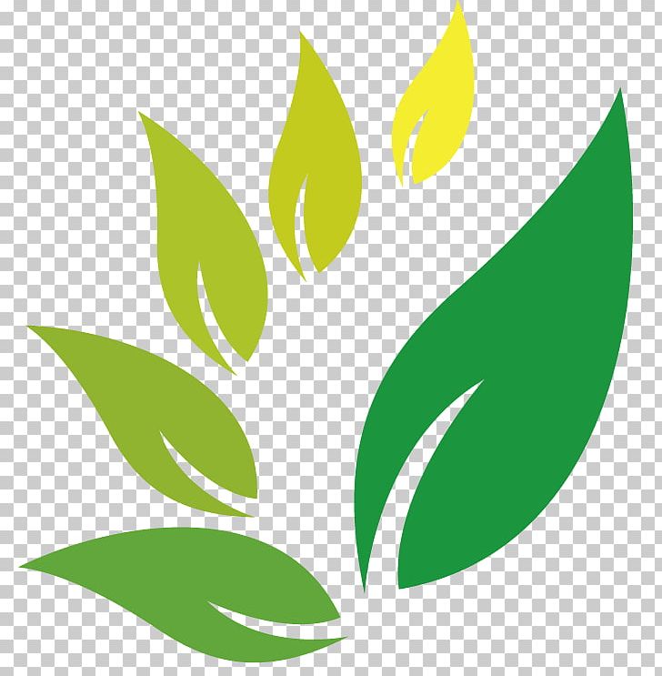 Herbal Logos - 221+ Best Herbal Logo Ideas. Free Herbal Logo Maker. |  99designs