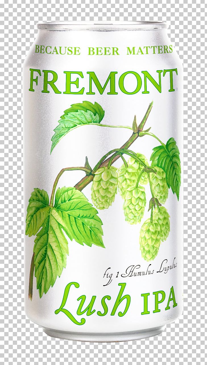India Pale Ale Beer Fremont Founder's All Day IPA Founders Brewing Company PNG, Clipart,  Free PNG Download