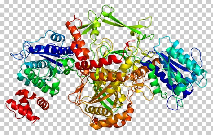 Ku70 Ku80 Protein DNA Repair PNG, Clipart, Dna, Dna Repair, Food, Gene, Graphic Design Free PNG Download