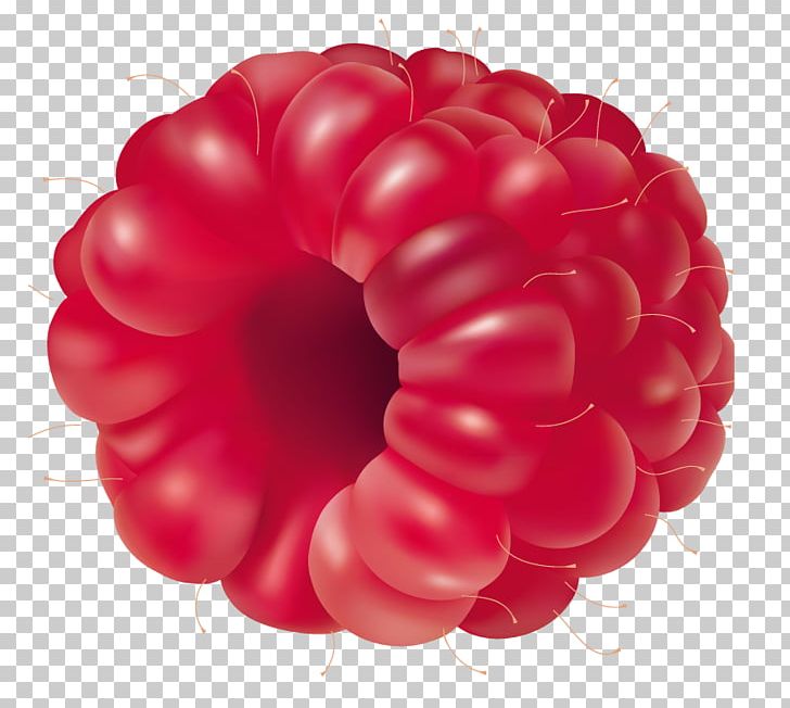 Raspberry Fruit PNG, Clipart, Balloon, Berry, Download, Encapsulated Postscript, Fruit Free PNG Download