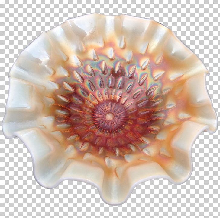 Seashell Cockle Conchology PNG, Clipart, Animals, Carnival Glass Worldwide, Cockle, Conch, Conchology Free PNG Download