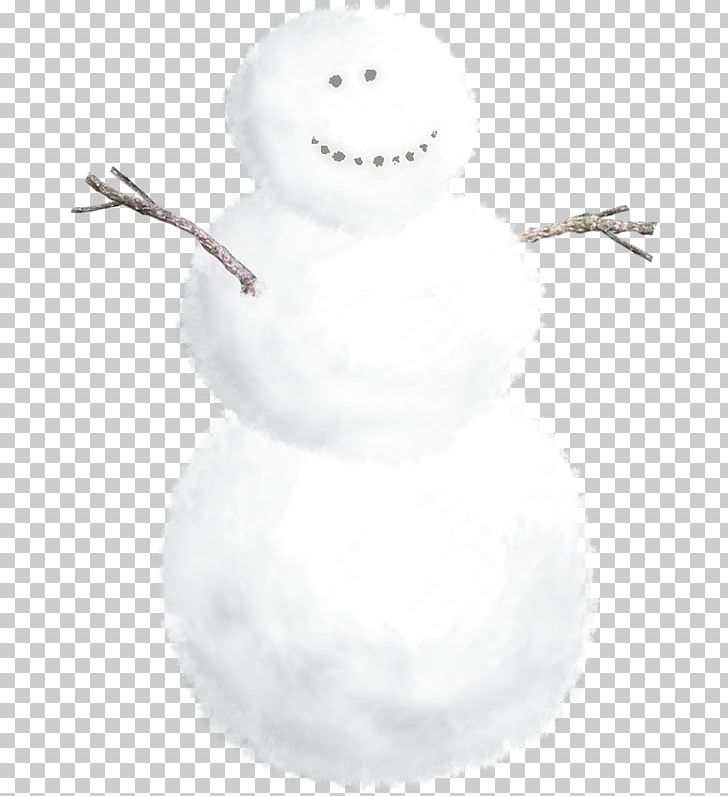 Snowman Flower Winter PNG, Clipart, Background White, Black White, Branches, Carpe Diem, Drawing Free PNG Download
