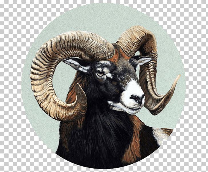 Barbary Sheep Elk Pablo Pereira PNG, Clipart, Animals, Aries, Barbary Sheep, Biggame Hunting, Common Genet Free PNG Download