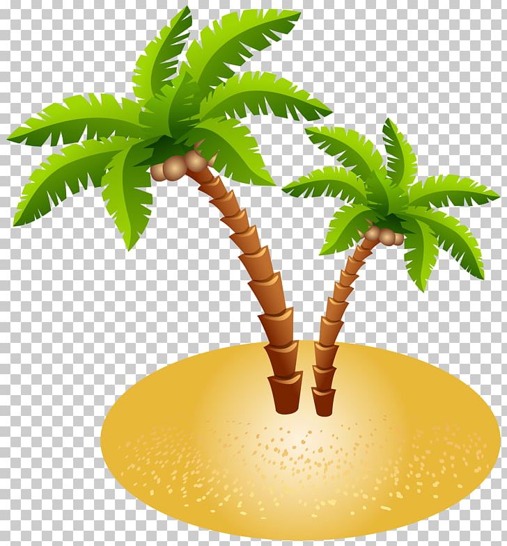File Formats PNG, Clipart, Arecales, Bbcode, Coconut, Computer Icons, Date Palm Free PNG Download