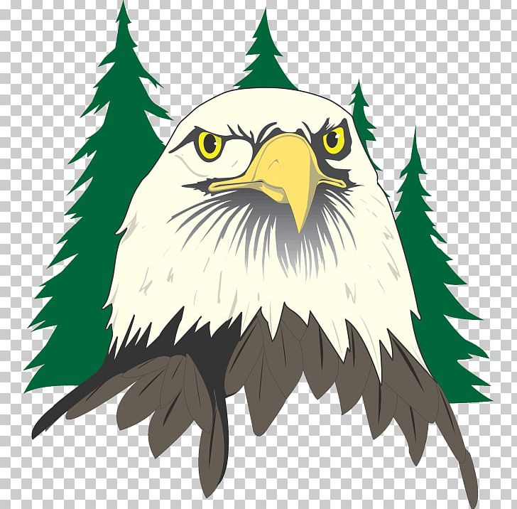 River Eves Elementary School Eagle River Elementary School National Primary School Flagstaff High School PNG, Clipart, Accipitriformes, Bald Eagle, Bird, Eagl, Education Free PNG Download