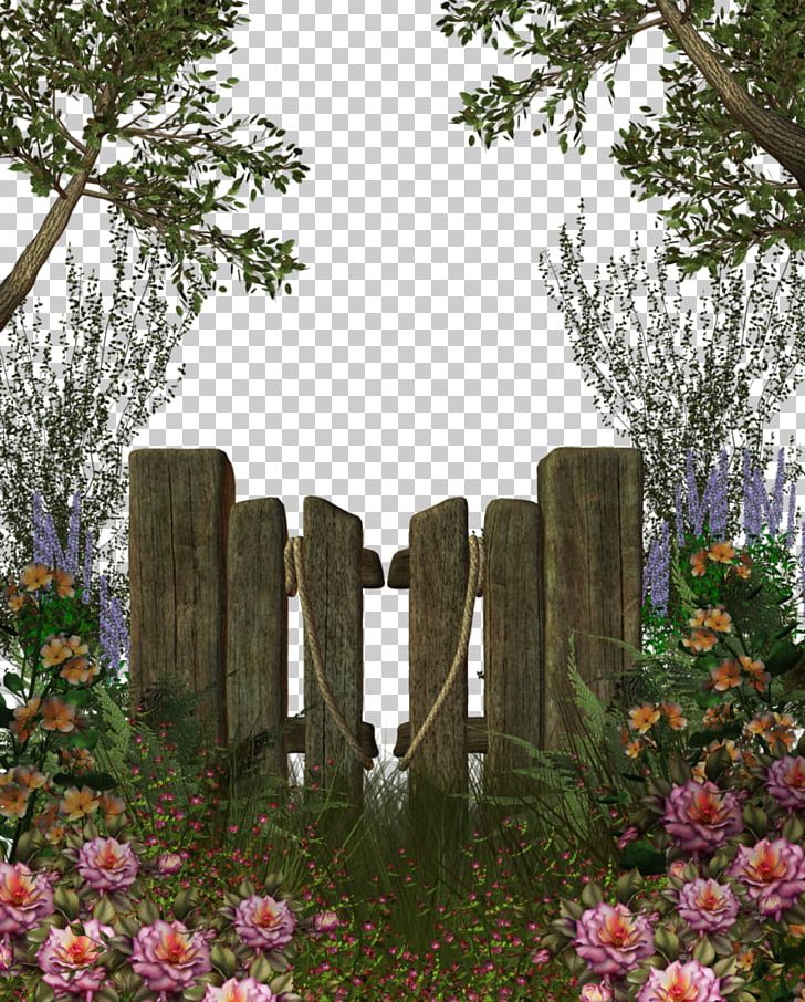Photography Grass Cemetery PNG, Clipart, Bushes, Cemetery, Clip Art, Computer Graphics, Deviantart Free PNG Download