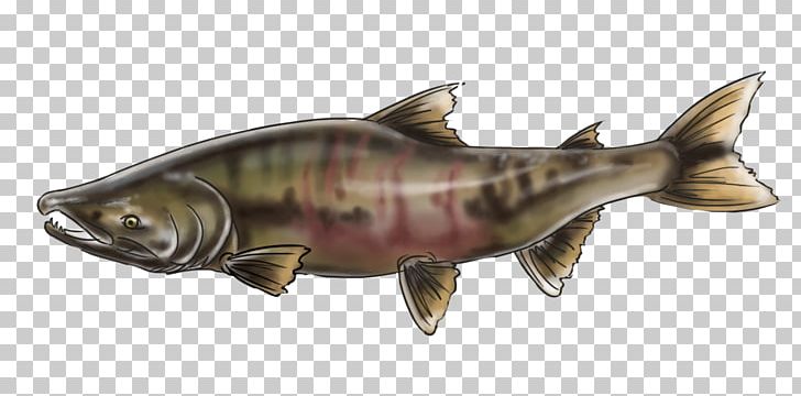 Chinook Salmon Keyword Tool Alaska Male Reproductive System PNG, Clipart, Alaska, Alaskan, Animal Figure, Art, Biology Free PNG Download