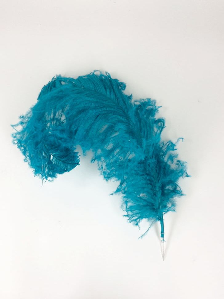 Common Ostrich Feather Boa Turquoise Teal PNG, Clipart, Animals, Azure, Blue, Cobalt, Cobalt Blue Free PNG Download