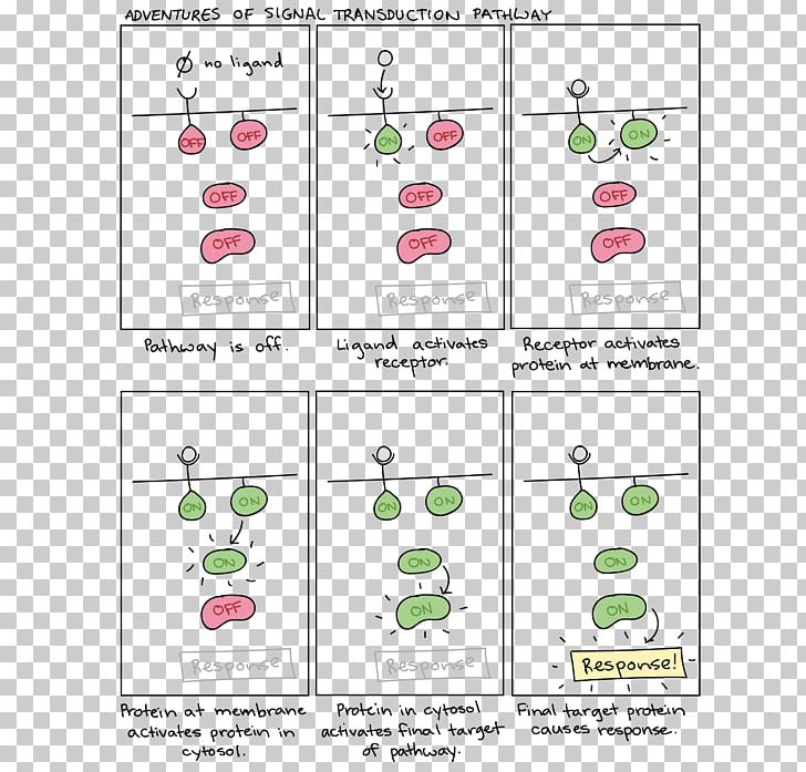 Signal Transduction Cell Signaling Receptor PNG, Clipart, Area, Biological Pathway, Cell, Cell Signaling, Diagram Free PNG Download