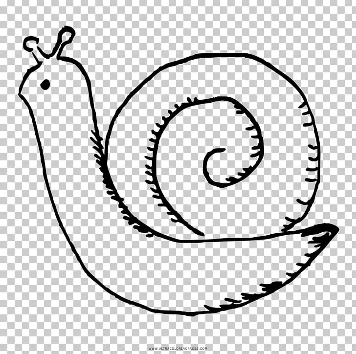 Snail Coloring Book Black And White Drawing Stylommatophora PNG, Clipart, Area, Artwork, Beak, Black And White, Cartoon Free PNG Download