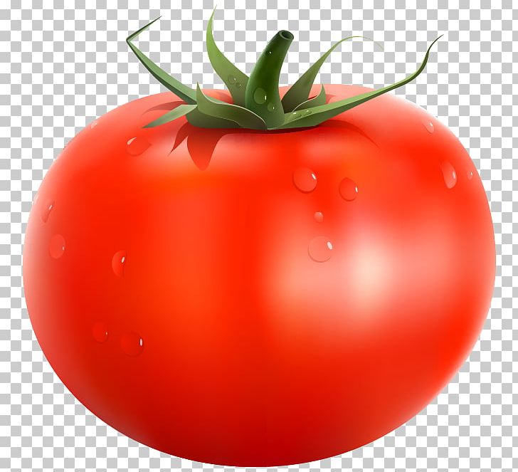 Papua New Guinea Tomato Vegetable PNG, Clipart, Bush Tomato, Cherry Tomato, Cli, Computer Icons, Diet Food Free PNG Download