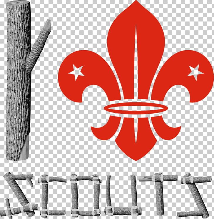 Scouting World Scout Emblem Boy Scouts Of America World Organization Of The Scout Movement Cub Scout PNG, Clipart, Boy Scouts Of America, Brand, Cub Scout, Cub Scouting, Eagle Scout Free PNG Download