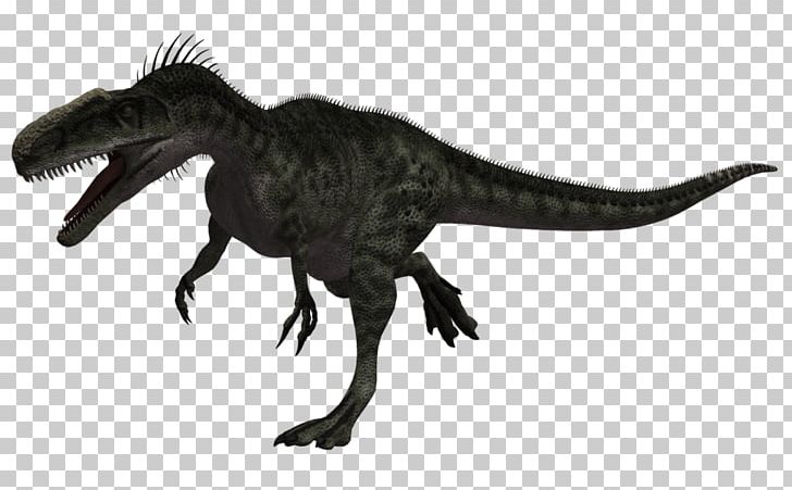 Tyrannosaurus Monolophosaurus Dinosaur Megalosaurus Allosaurus PNG, Clipart, Animal Figure, Apatosaurus, Bipedalism, Carnivore, Carnivores Dinosaur Hunter Free PNG Download
