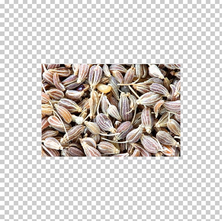 Anise Fennel Seed Spice Flavor PNG, Clipart, Ajwain, Anise, Commodity, Cumin, Extract Free PNG Download