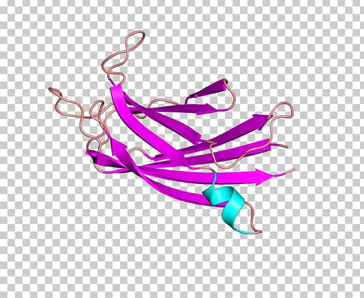 Dysferlin Distal Muscular Dystrophy Caveolin 3 Limb-girdle Muscular Dystrophy PNG, Clipart, Caveolin, Chromosome, Fashion Accessory, Gene, Graphic Design Free PNG Download