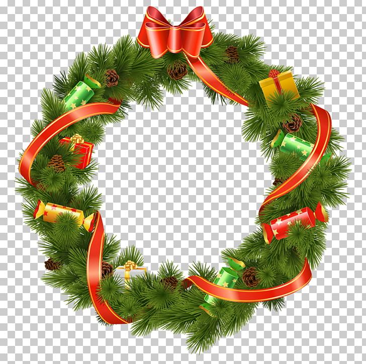 Mistletoe Christmas Decoration PNG, Clipart, Christmas, Christmas Decoration, Christmas Ornament, Christmas Tree, Conifer Free PNG Download