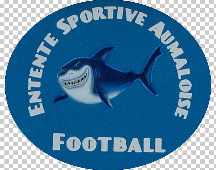 Aumale Saligny PNG, Clipart, Cartilaginous Fish, Fish, Football, France, Information Free PNG Download