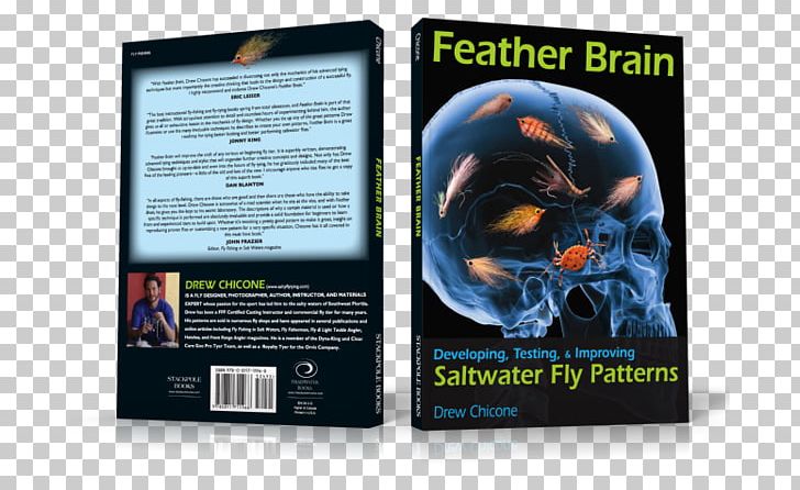 Feather Brain: Developing PNG, Clipart,  Free PNG Download