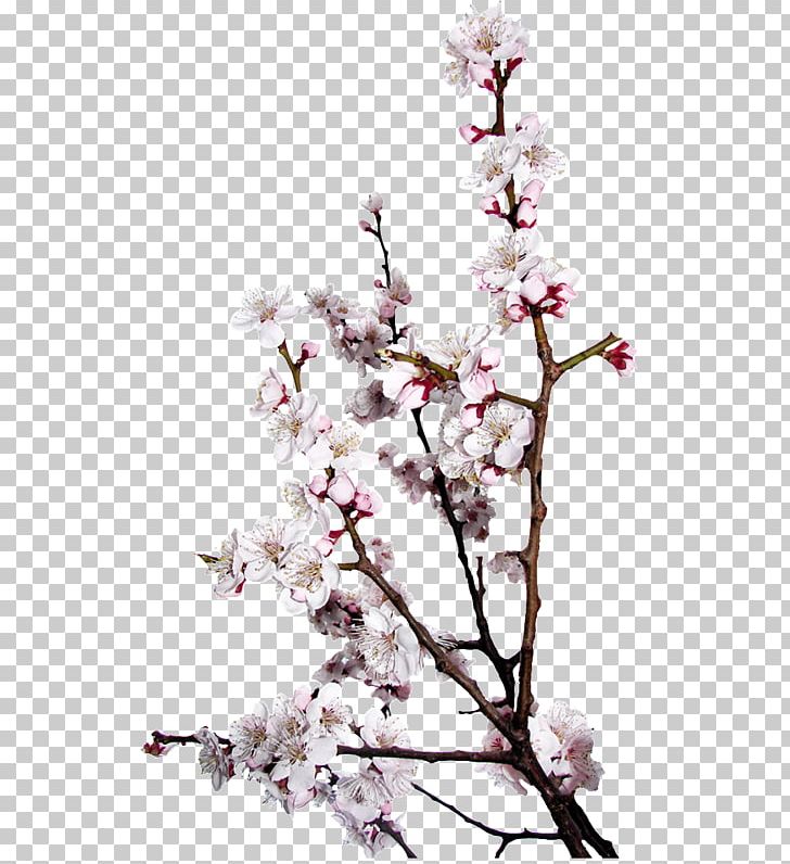 Saison Des Amours Spring Season Doll Le Printemps PNG, Clipart, Autumn, Blossom, Branch, Cherry Blossom, Doll Free PNG Download